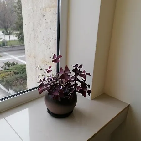 Peshtera Hotel Peshtera (Pazardzhik)