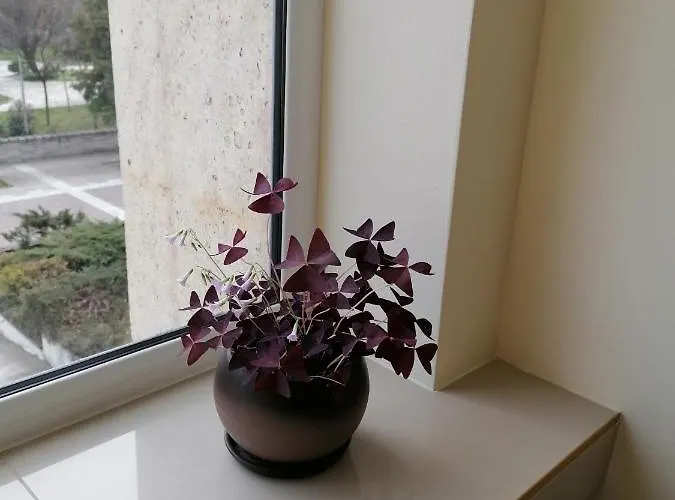 Peshtera Hotel Pechtera